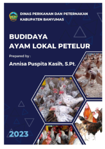 Budidaya Ayam Lokal
